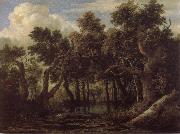 Jacob van Ruisdael Marsh in a Forest oil painting picture wholesale